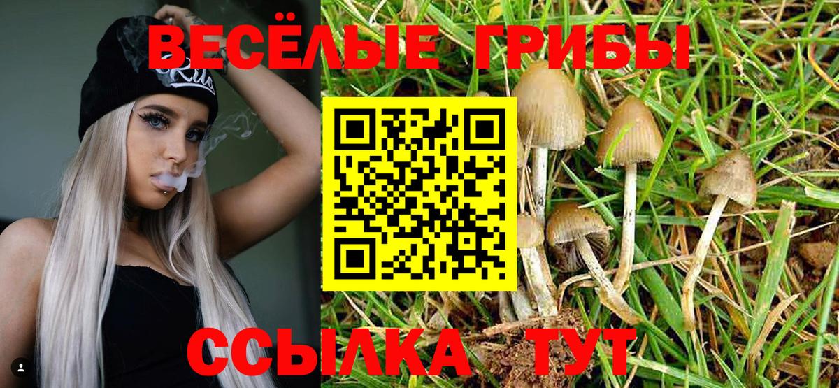 Псилоцибиновые грибы GOLDEN TEACHER Котовск