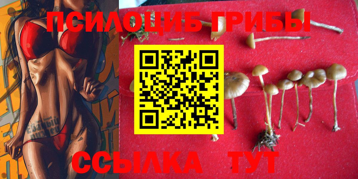 Котовск  Псилоцибиновые грибы Cubensis  Вход с VPN 